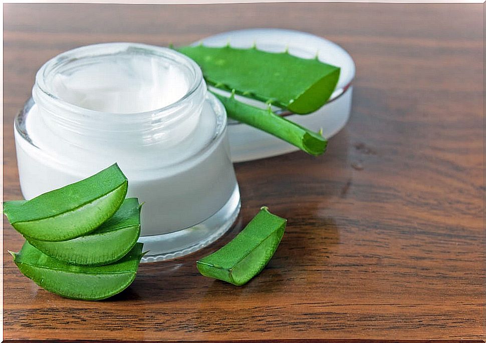 Aloe vera night cream, milk and olive oil