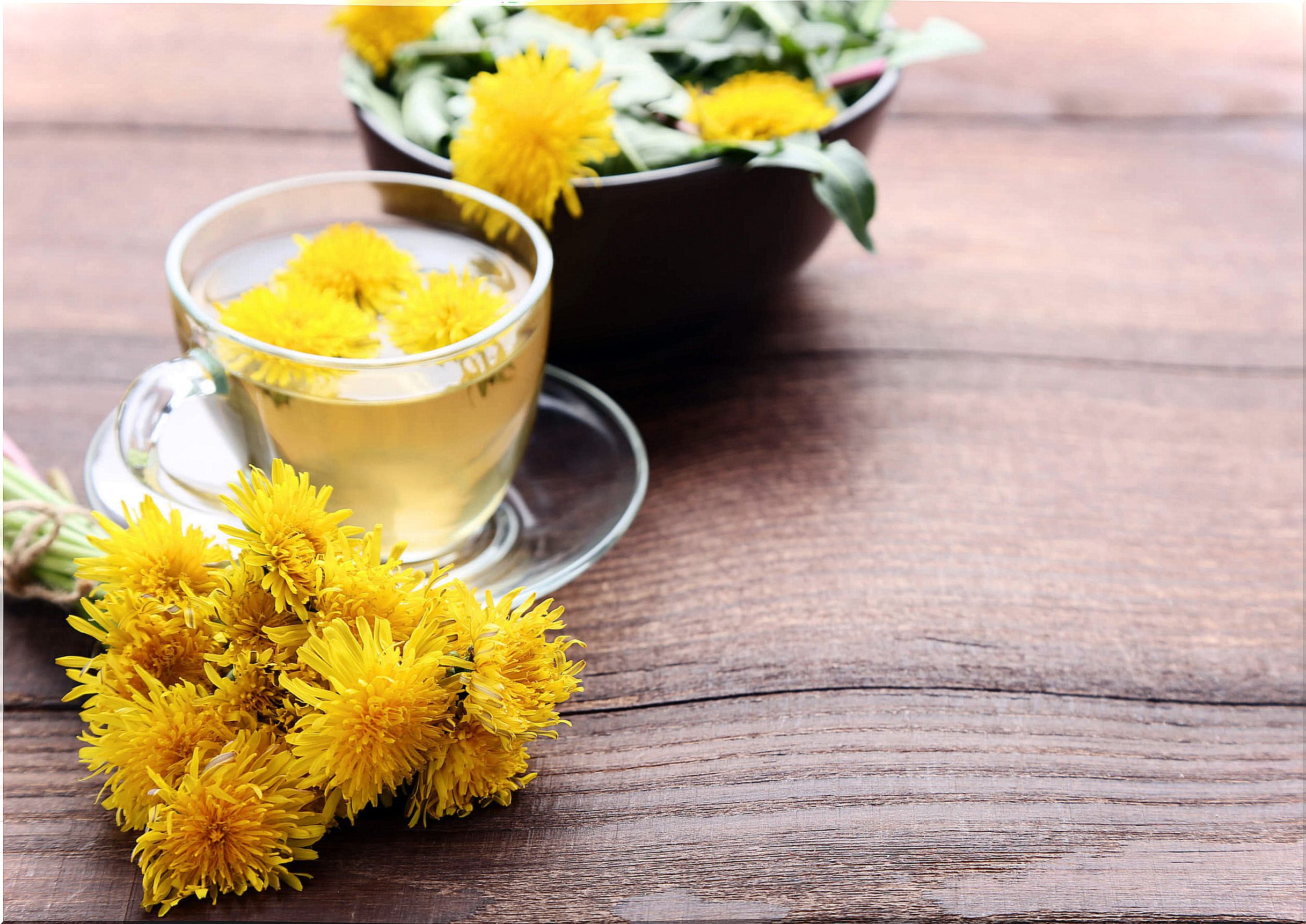 Dandelion for high blood pressure