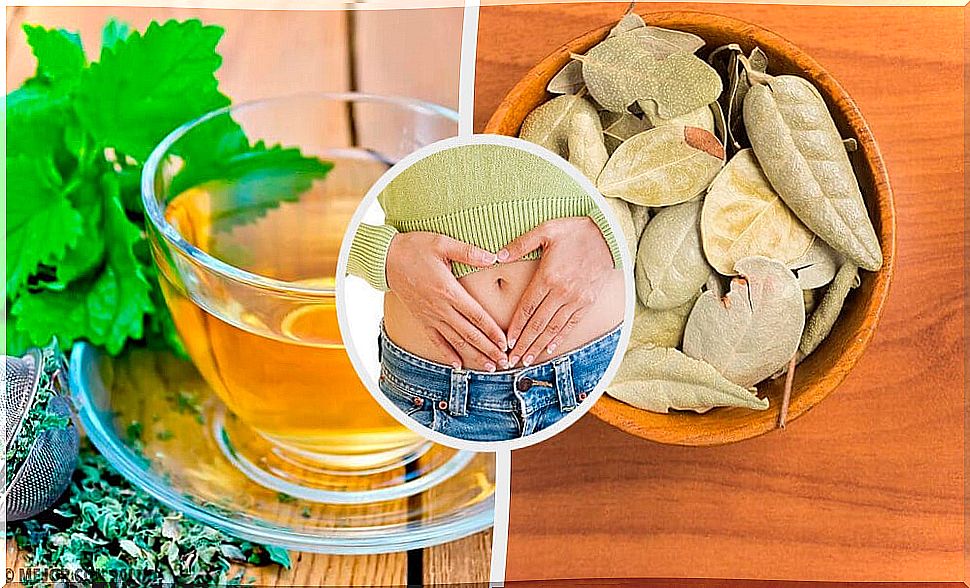 5 Herbs That Help Improve Digestive Problems