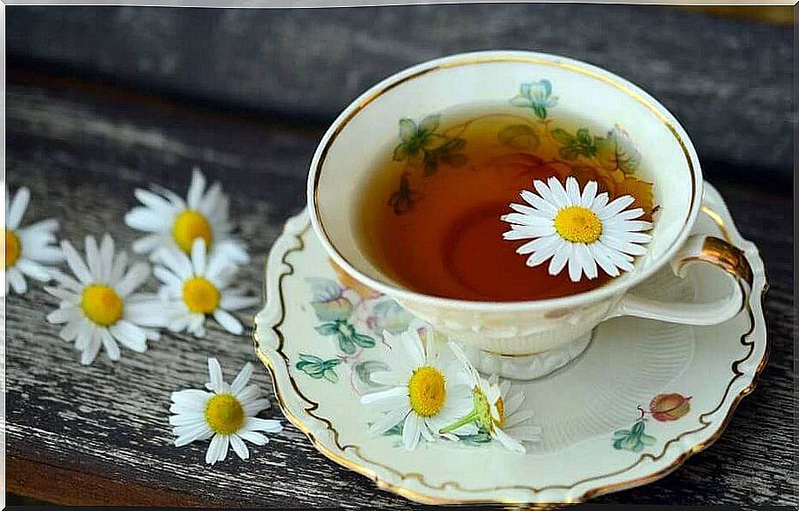 chamomile tea