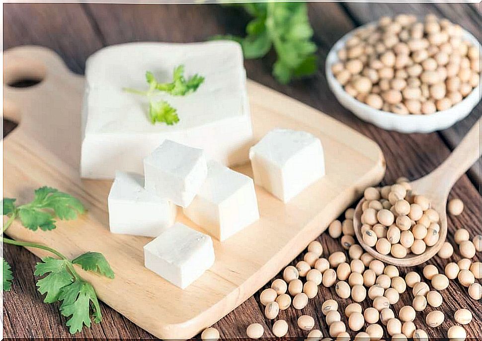 soy and tofu