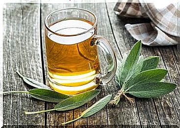 Infusion of sage, rosemary and nettle against allergies