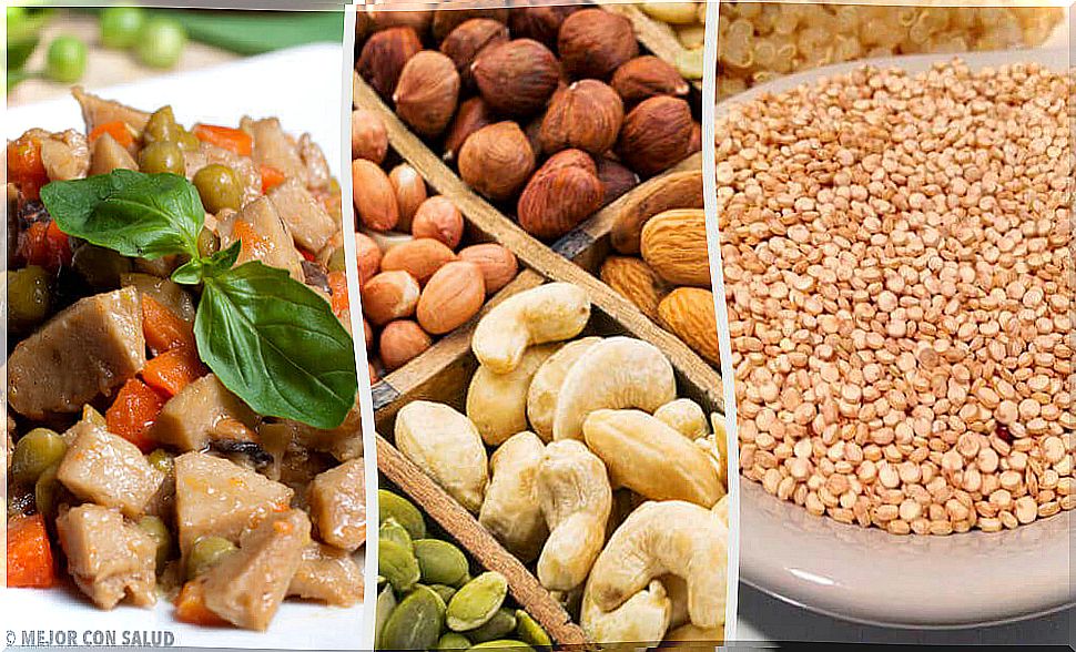 Alternatives to Replace Animal Protein in Your Diet