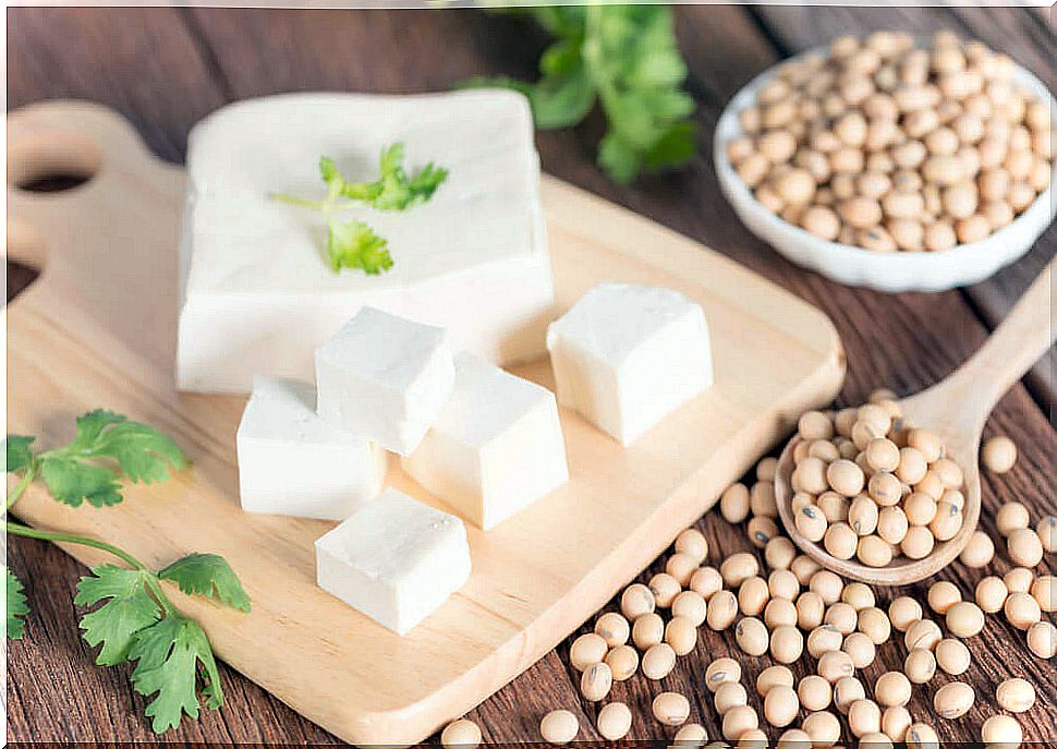 Tofu is used to replace animal protein