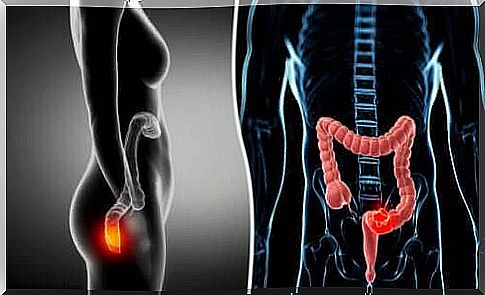 Physiology of the anus and rectum