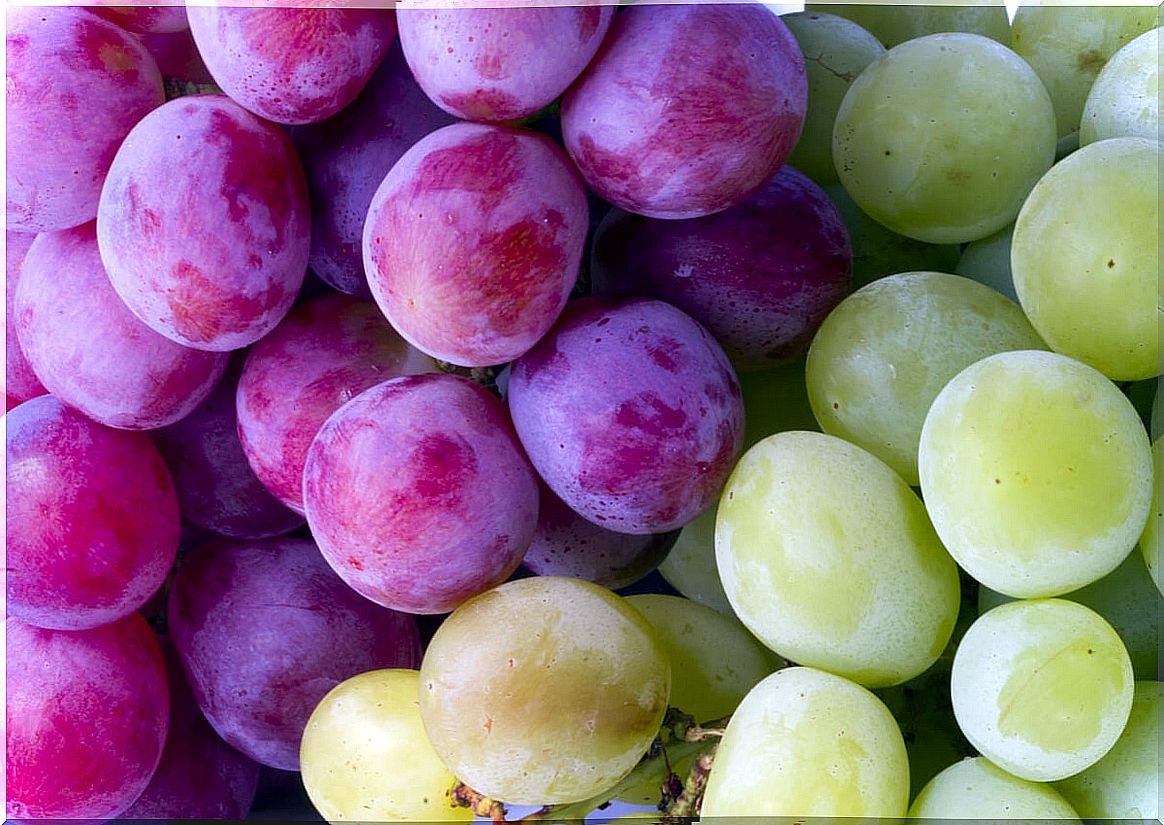 purple and green grapes