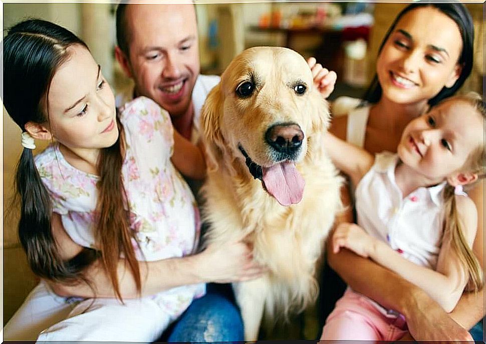 Family petting your pet