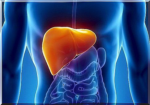 Coffee or tea can help the liver