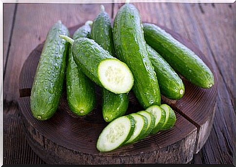 Cucumber