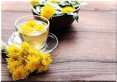 Dandelion, a miracle of nature for your health