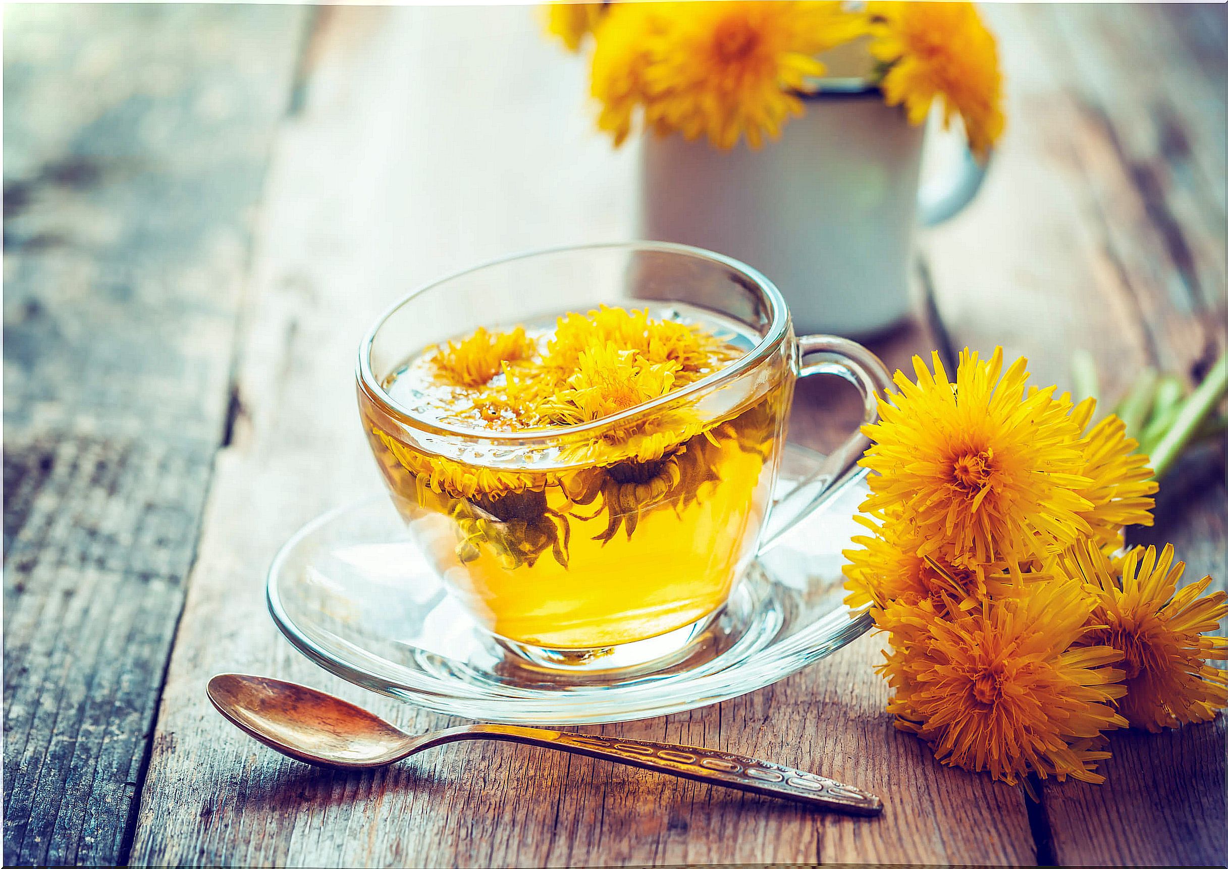 Dandelion optimizes your body's basic functions