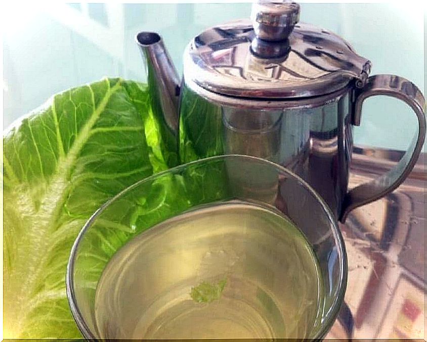 Lettuce leaf tea to calm nervousness