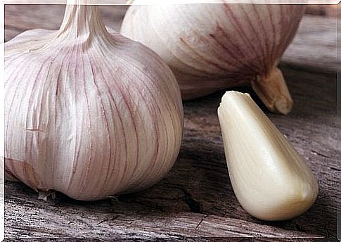 Garlic to fight infections