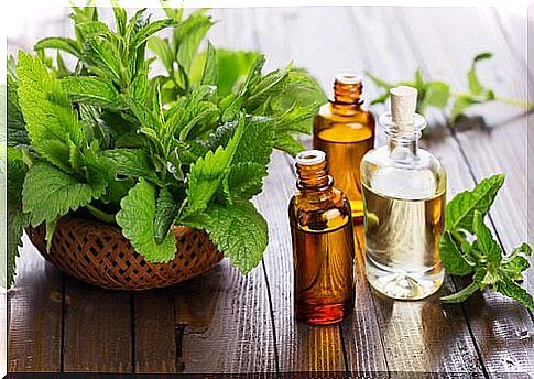 Mint essential oil to relieve knee pain