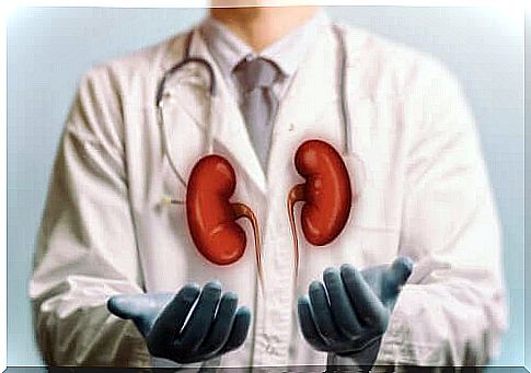 How to take care of your kidneys and bladder