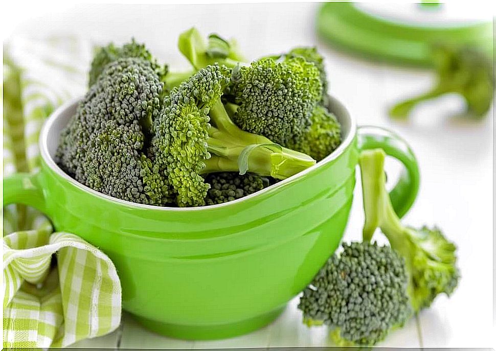 Prepare a light dinner with these 4 broccoli recipes