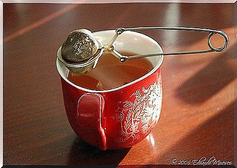 red tea to lose weight