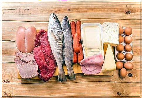 The risks of adopting a high protein diet