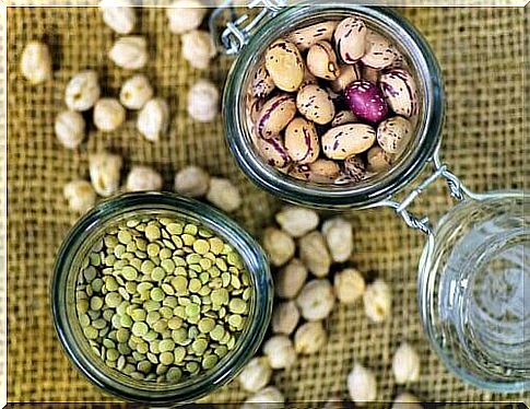 Legumes: an alternative to a high-protein diet