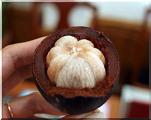 Anti-aging mangosteen