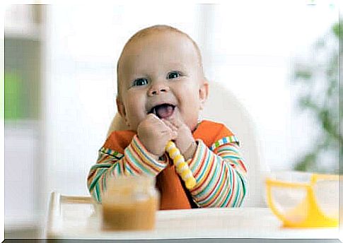 Weaning the baby: how to introduce the first foods?